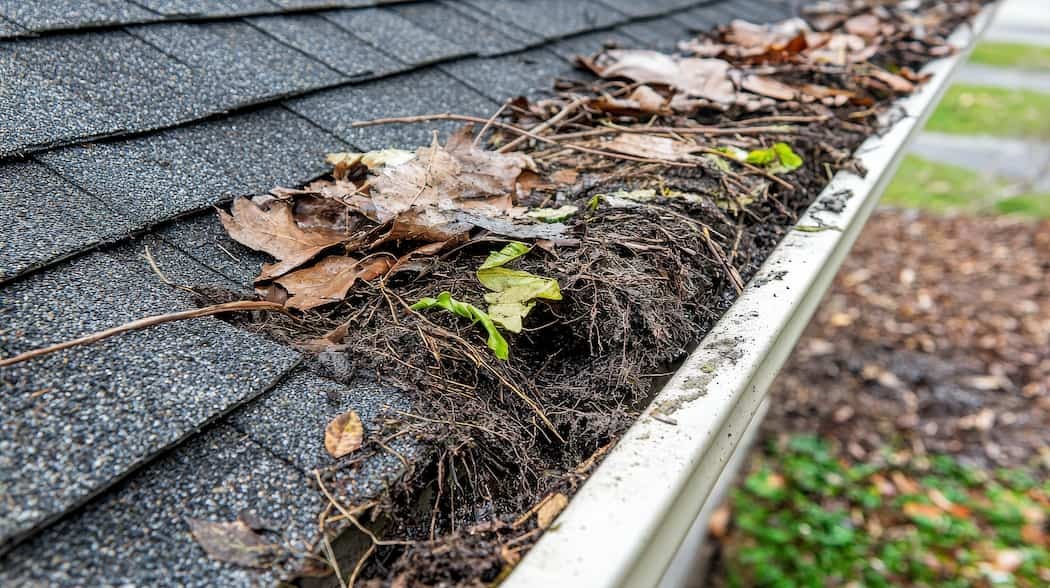 Gutter Cleaning