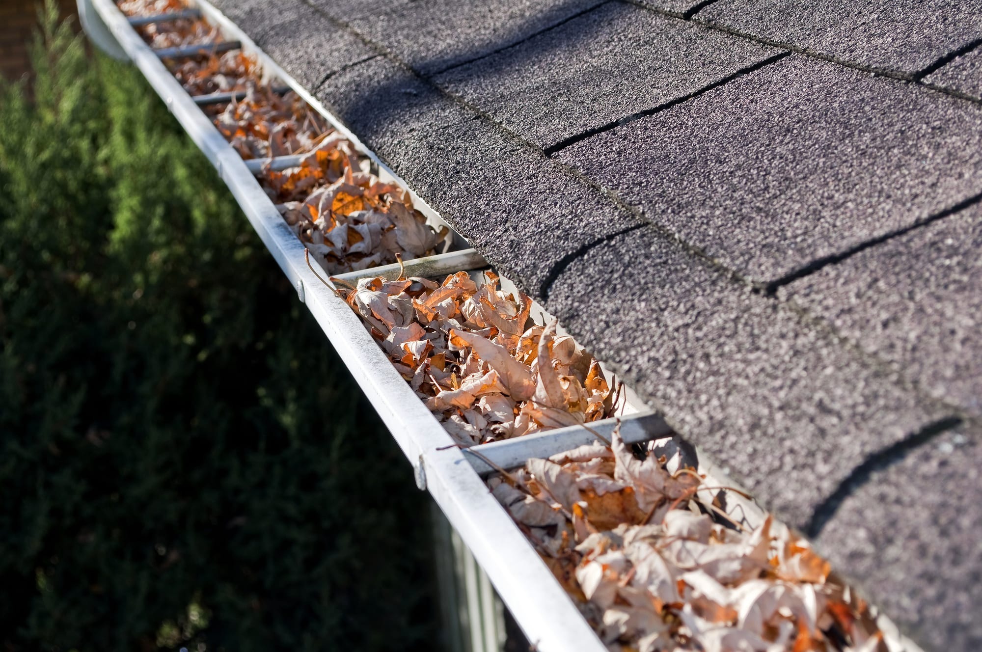 Gutter Cleaning