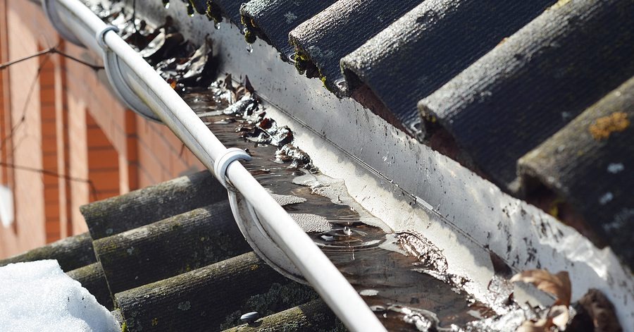 Gutter Cleaning