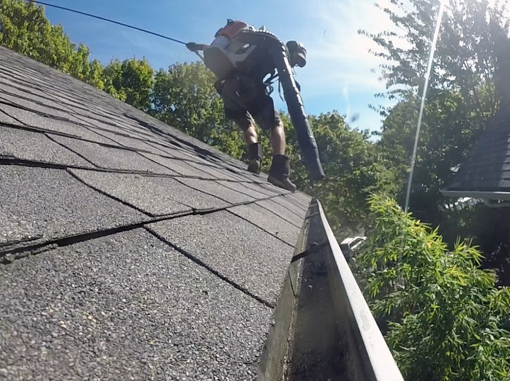 Expert Gutter Cleaning