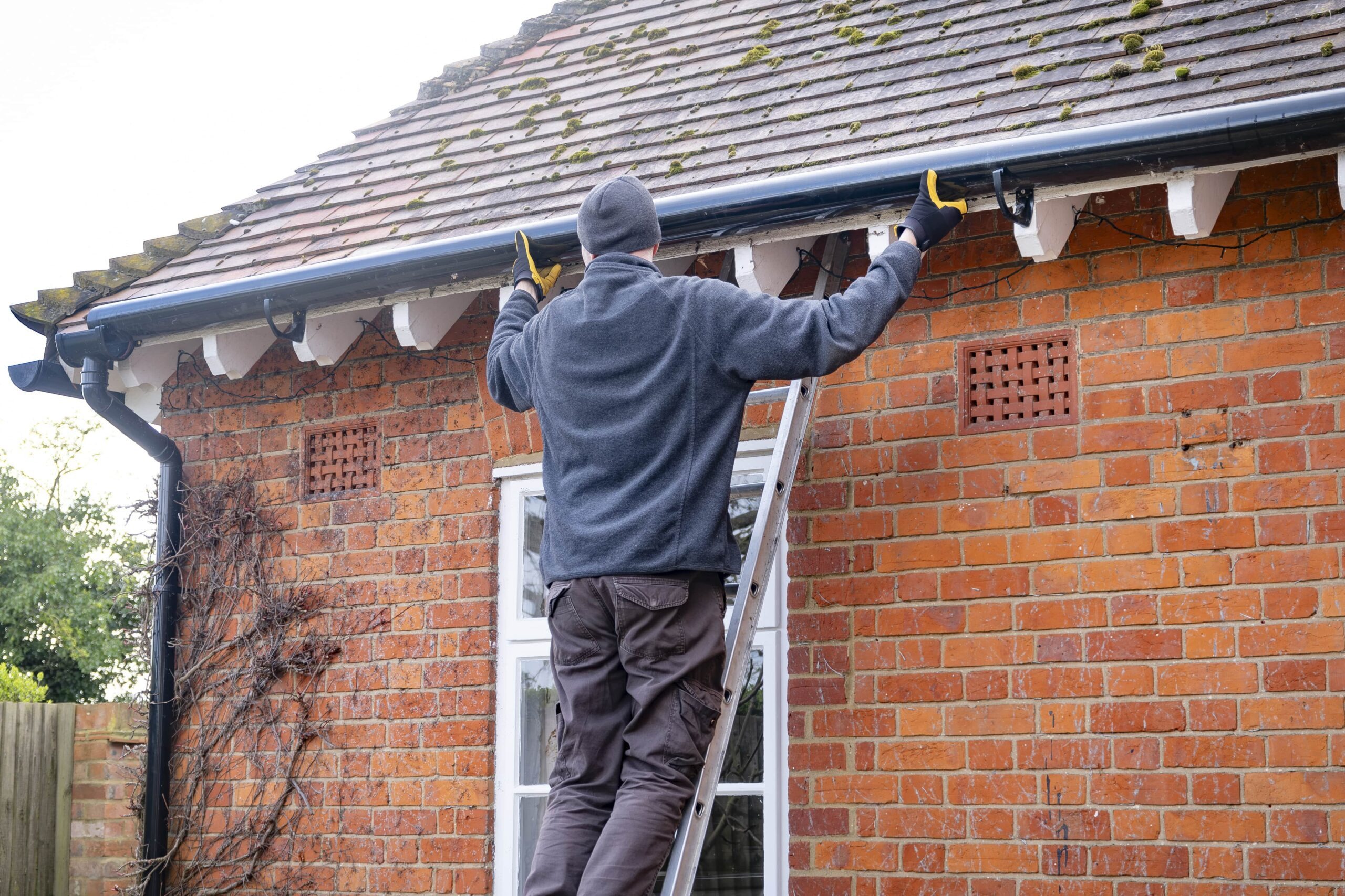 Gutter Cleaning Services