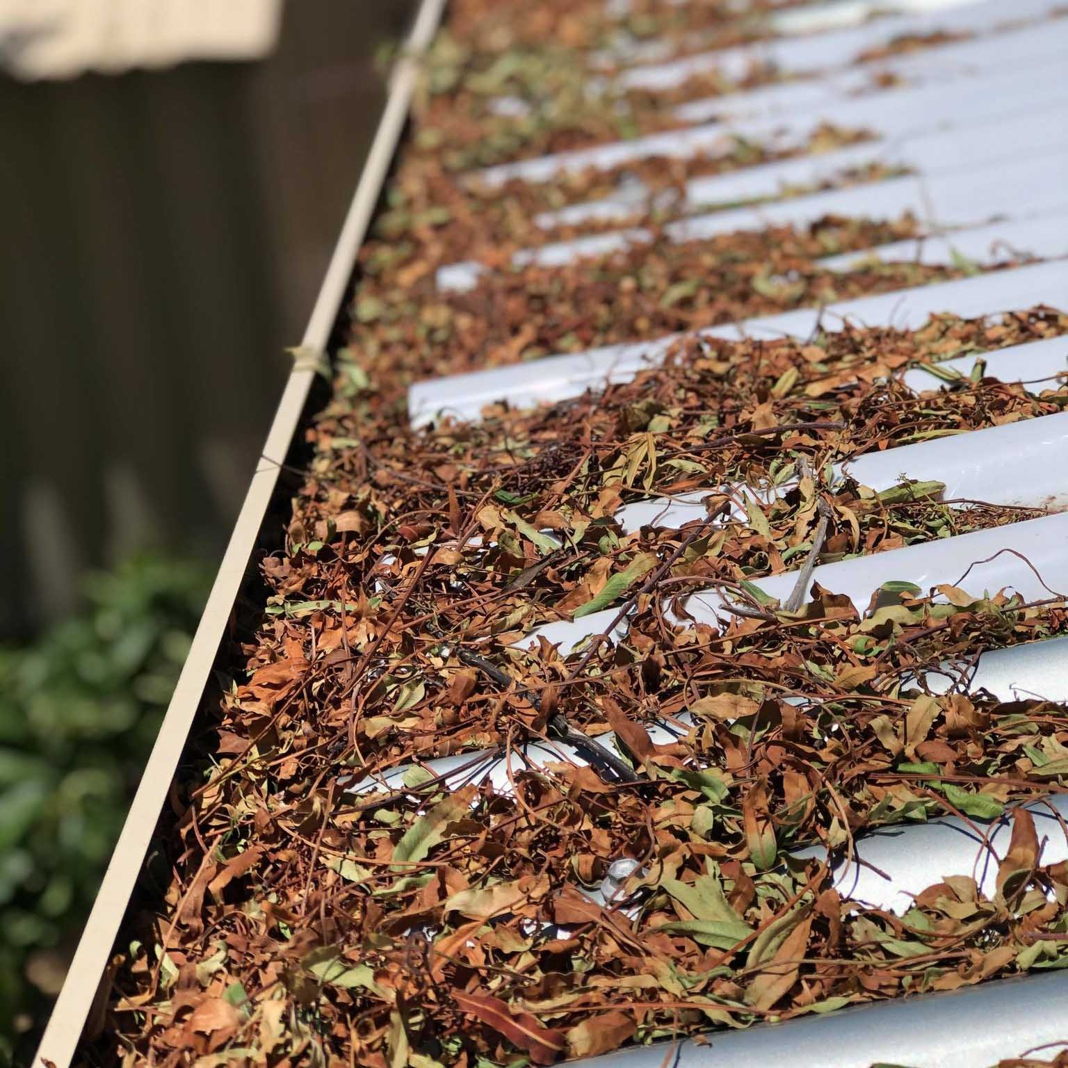 Gutter Cleaning Services