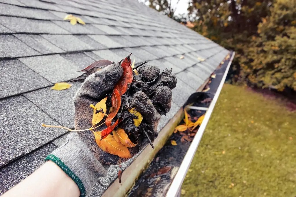 Gutter Cleaning Services
