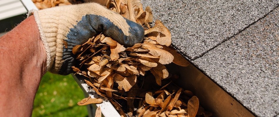 Gutter Cleaning Services