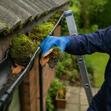 Gutter Cleaning