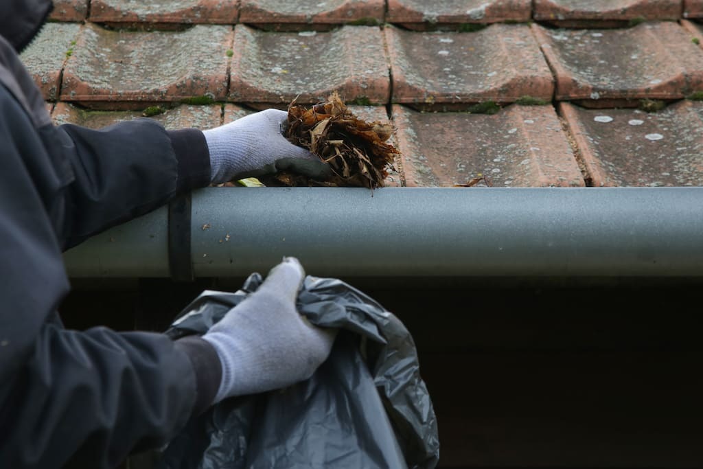 Gutter Cleaning