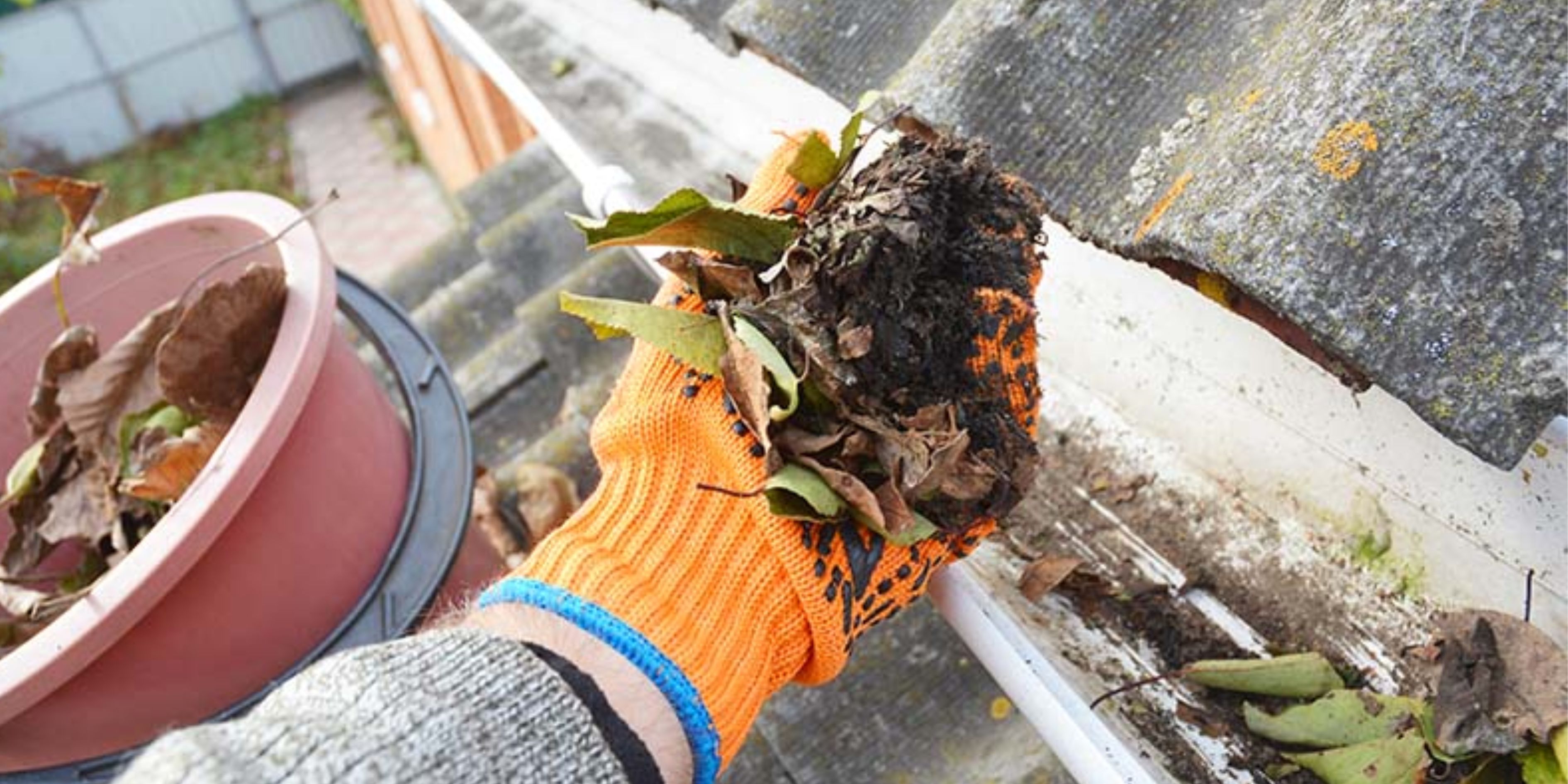 gutter cleaning chatswood