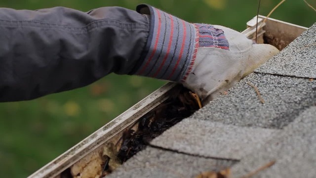 Gutter Cleaning