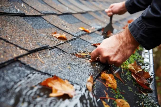 Gutter Cleaning