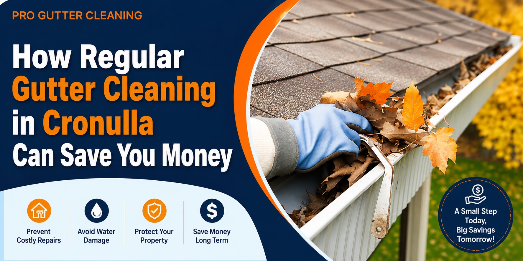 Gutter Cleaning
