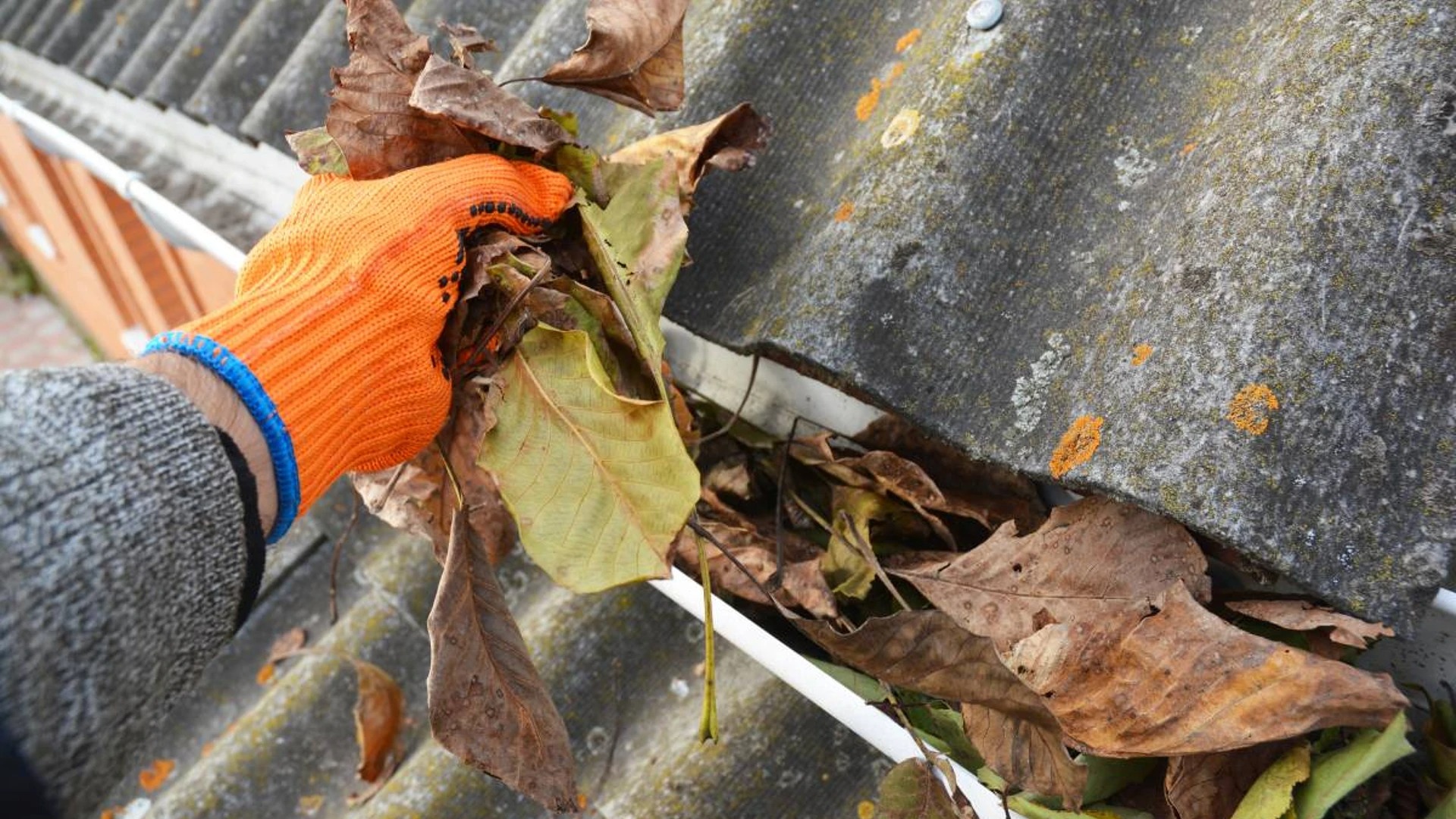 Gutter Cleaning